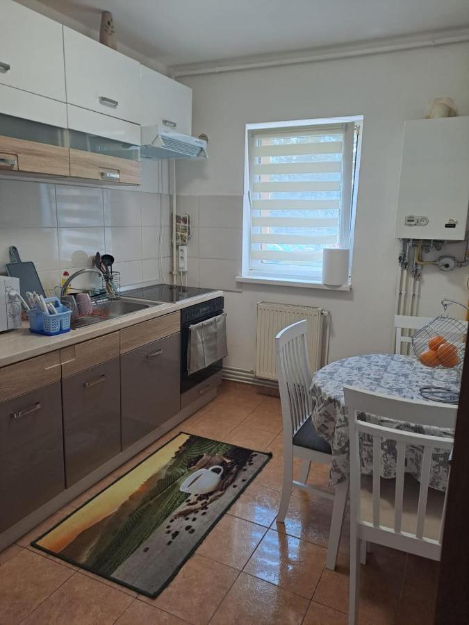 Apartamento Garsoniera Bia Braşov Exterior foto